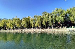 2023 11 PEKIN - PARC BEIHAI (5)